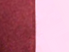 Producto CALZA KIVU - 
