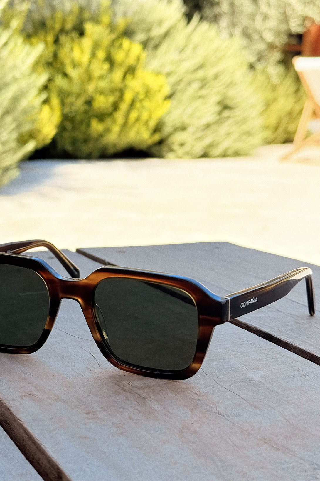 LENTES OLBIA